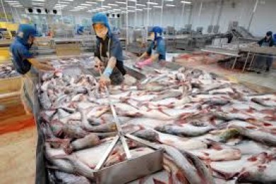 Giới thiệu ngành thủy sản Việt Nam
