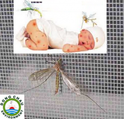 Lưới inox chống muỗi và côn trùng